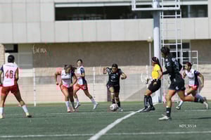 Santos Laguna vs Chivas Guadalajara sub 19