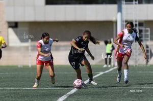 Santos Laguna vs Chivas Guadalajara sub 19