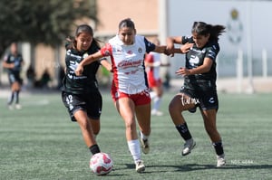 Santos Laguna vs Chivas Guadalajara sub 19