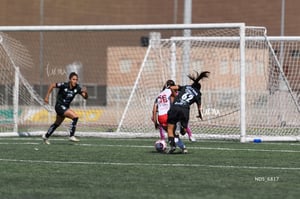Santos Laguna vs Chivas Guadalajara sub 19