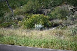 25K Mapimí Durango