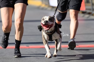 Carrera 10 millas y 5K Rotary