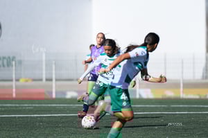 Santos Laguna vs Chivas femenil S19