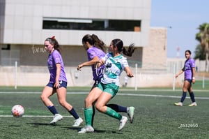 Santos Laguna vs Chivas femenil S19