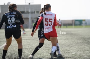Santos Laguna vs Chivas Guadalajara S19