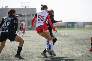 Santos Laguna vs Chivas Guadalajara S19