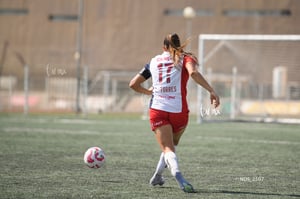 Santos Laguna vs Chivas Guadalajara S19