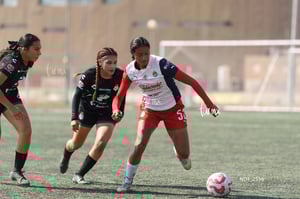 Santos Laguna vs Chivas Guadalajara S19