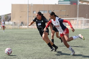 Santos Laguna vs Chivas Guadalajara S19