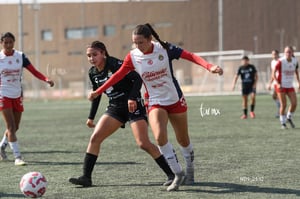 Santos Laguna vs Chivas Guadalajara S19