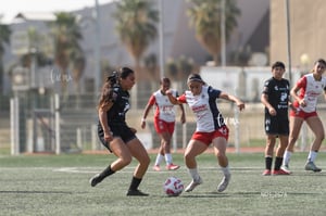 Santos Laguna vs Chivas Guadalajara S19