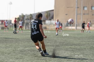 Santos Laguna vs Chivas Guadalajara S19