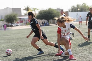 Santos Laguna vs Chivas Guadalajara S19