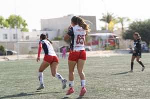 Santos Laguna vs Chivas Guadalajara S19