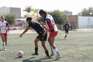 Santos Laguna vs Chivas Guadalajara S19