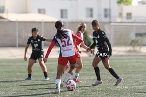 Santos Laguna vs Chivas Guadalajara S19