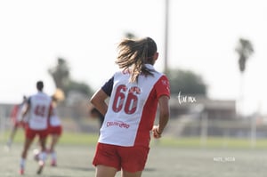 Santos Laguna vs Chivas Guadalajara S19