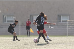 Santos Laguna vs Chivas Guadalajara S19