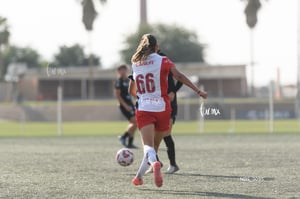 Santos Laguna vs Chivas Guadalajara S19