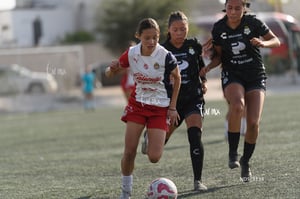 Santos Laguna vs Chivas Guadalajara S19