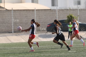 Santos Laguna vs Chivas Guadalajara S19