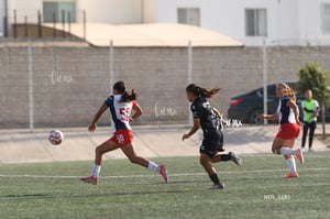 Santos Laguna vs Chivas Guadalajara S19
