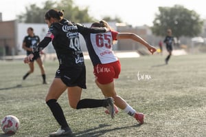 Santos Laguna vs Chivas Guadalajara S19