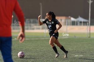 Santos Laguna vs Chivas Guadalajara S19