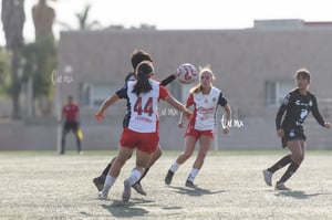 Santos Laguna vs Chivas Guadalajara S19