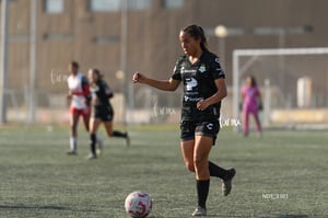 Santos Laguna vs Chivas Guadalajara S19