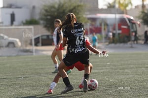 Santos Laguna vs Chivas Guadalajara S19