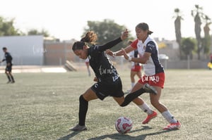 Santos Laguna vs Chivas Guadalajara S19