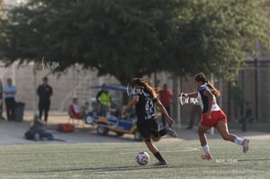 Santos Laguna vs Chivas Guadalajara S19