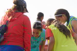 Santos Laguna vs Chivas Guadalajara S19
