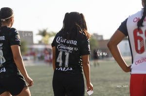 Santos Laguna vs Chivas Guadalajara S19