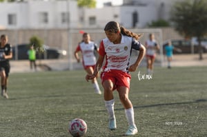Santos Laguna vs Chivas Guadalajara S19