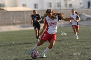 Santos Laguna vs Chivas Guadalajara S19