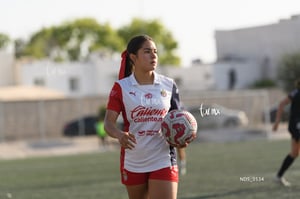 Santos Laguna vs Chivas Guadalajara S19