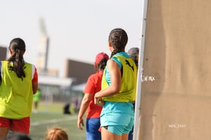 Santos Laguna vs Chivas Guadalajara S19