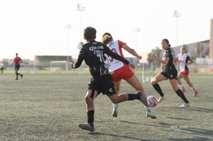 Santos Laguna vs Chivas Guadalajara S19