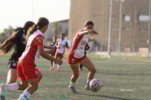 Santos Laguna vs Chivas Guadalajara S19