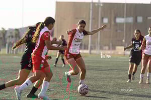 Santos Laguna vs Chivas Guadalajara S19