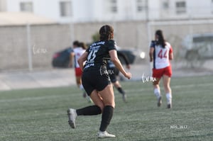 Santos Laguna vs Chivas Guadalajara S19