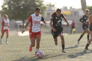 Santos Laguna vs Chivas Guadalajara S19