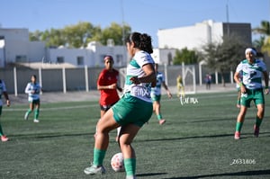 Santos Laguna vs Club Tijuana femenil S19