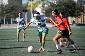 Santos Laguna vs Club Tijuana femenil S19