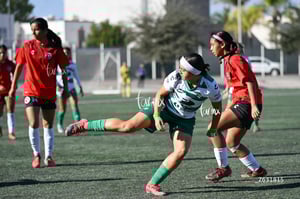Santos Laguna vs Club Tijuana femenil S19