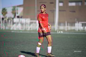 Santos Laguna vs Club Tijuana femenil S19