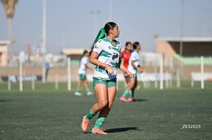 Santos Laguna vs Club Tijuana femenil S19