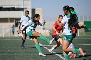 Santos Laguna vs Club Tijuana femenil S19